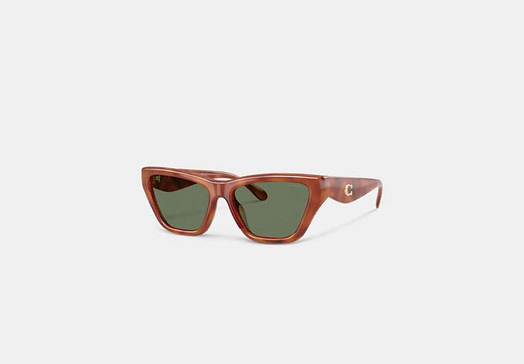 COACH® Women's Gafas De Sol De Ojo De Gato Con Herrajes En C en Castaño
