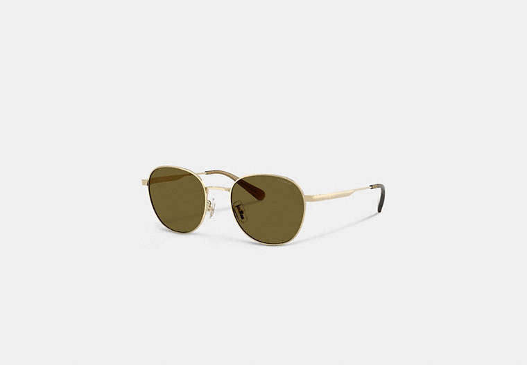 COACH® Men's Gafas De Sol Rojoondas Con Etiqueta Colgante Metálica en Verde | Métal