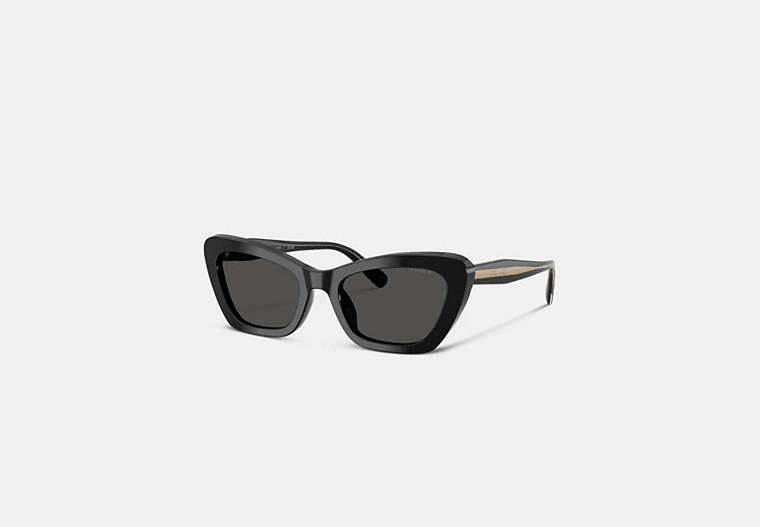 COACH® Women's Gafas De Sol Tipo Ojos De Gata De Alambre en Negro