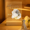 Lámpara de noche LED acrílica personalizada con nombre y base de madera Decoración para el hogar Regalo de condolencia para el dueño de una mascota