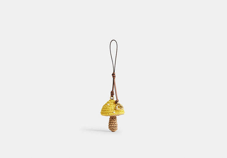 COACH® Women's Charm De Seta Para Bolso | Autre