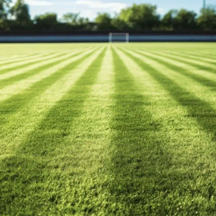 Sustrato para Césped Deportivo