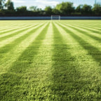 Sustrato para Césped Deportivo