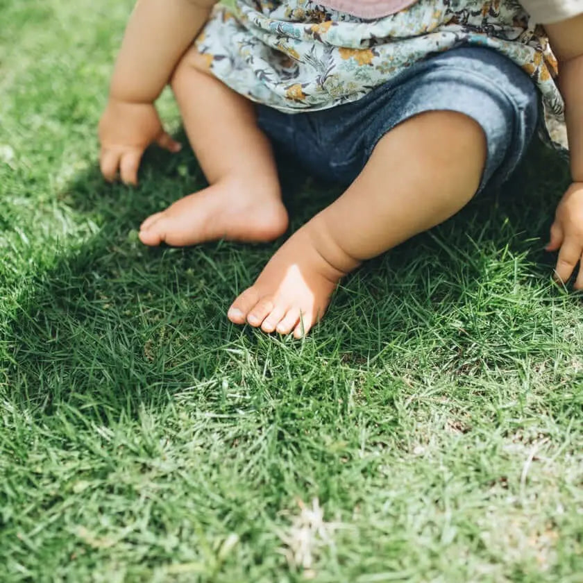 Sustrato Básico para Césped Jardín