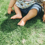 Sustrato Básico para Césped Jardín