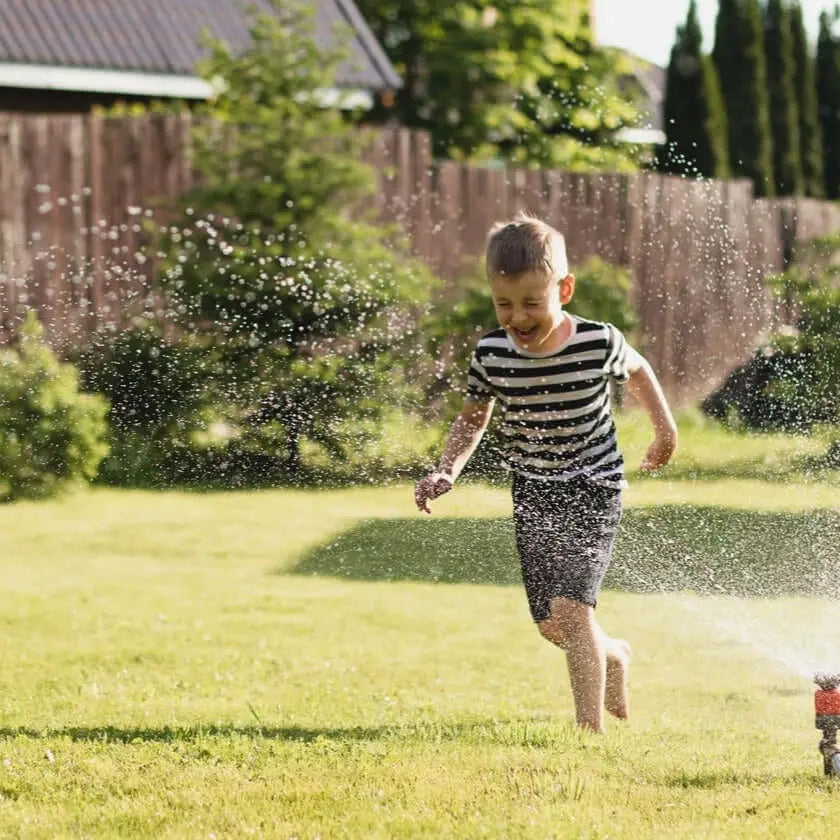 Sustrato Básico para Césped Jardín