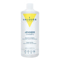 Champú Jengibre Ginger Strong - Anticaspa, Revitalizante y Fortalecedor - 1000 ml