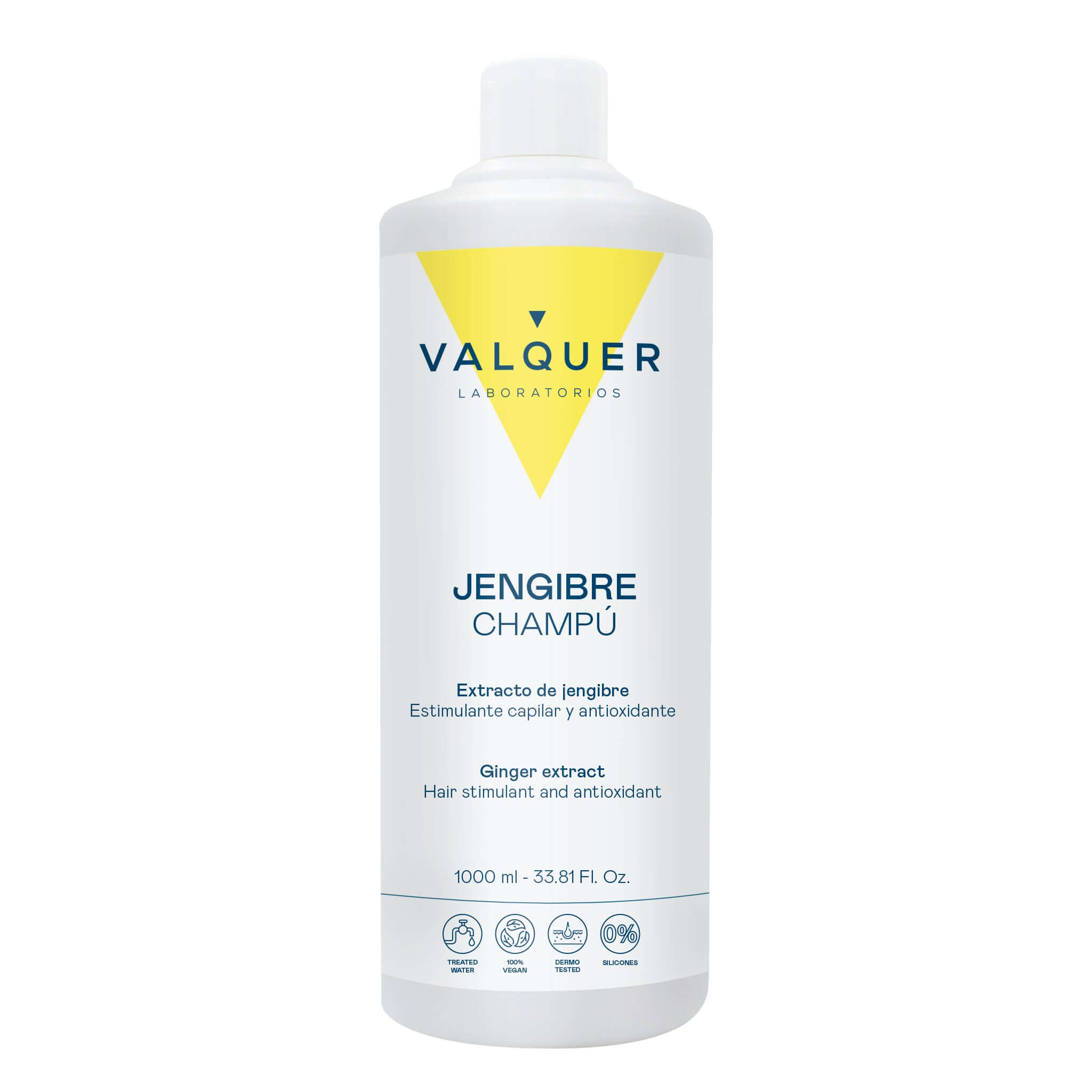 Champú Jengibre Ginger Strong - Anticaspa, Revitalizante y Fortalecedor - 1000 ml