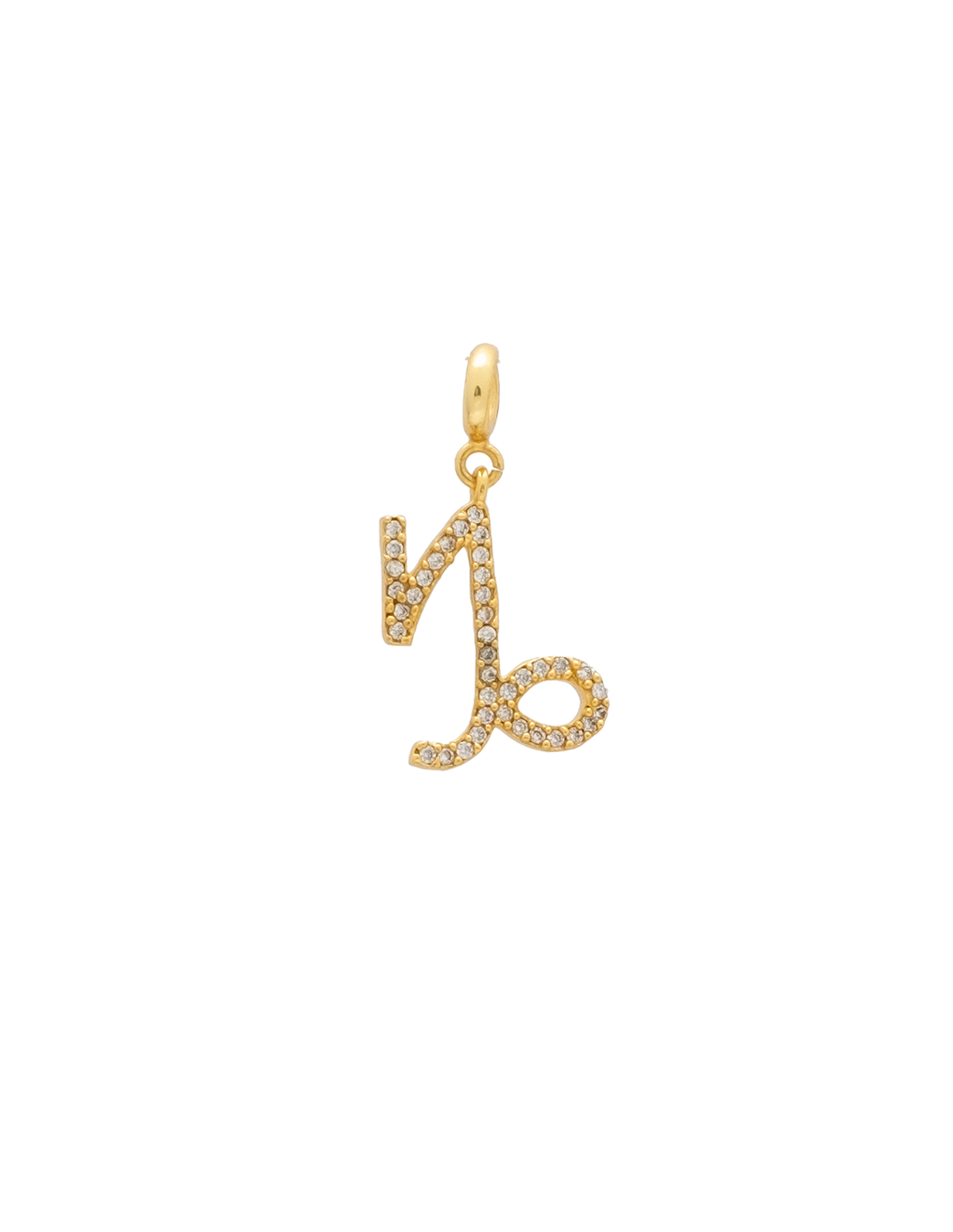 Charm Zodiaco Capricornio
