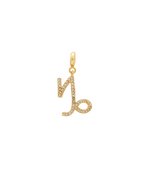 Charm Zodiaco Capricornio