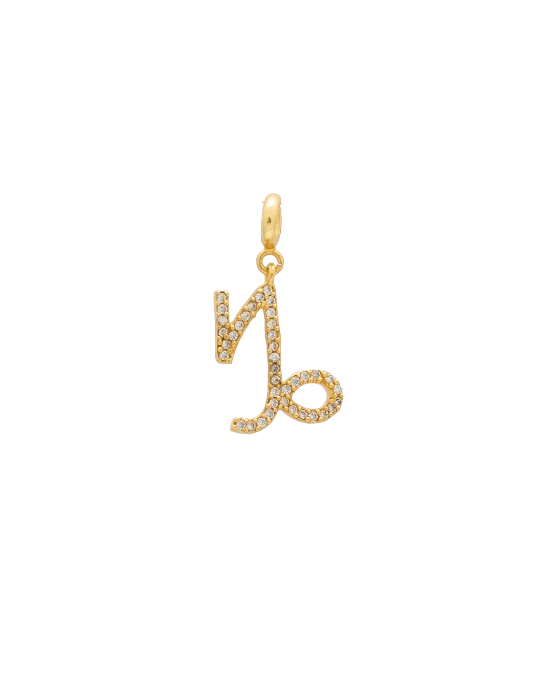 Charm Zodiaco Capricornio