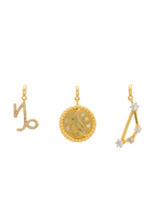 Charm Zodiaco Capricornio