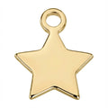 Gold Star Symbol Charm