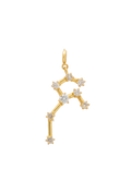 Charm Zodiaco Leo