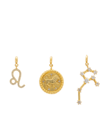 Charm Zodiaco Leo