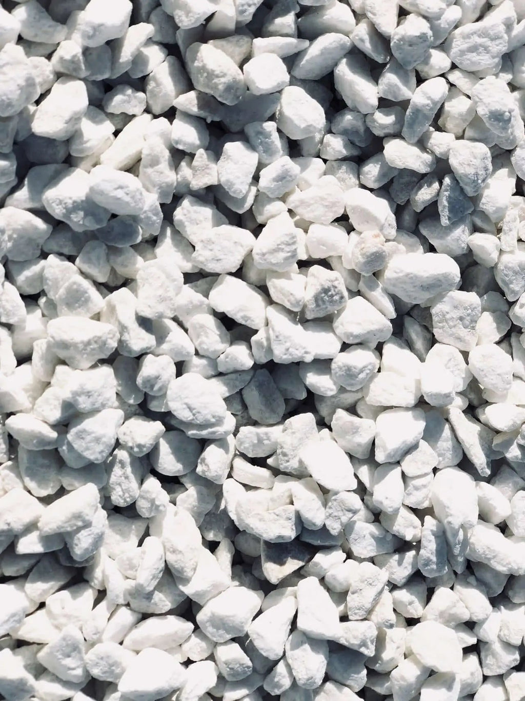 Cal Viva Dolomita Granulada | Potenciador Calcio y Magnesio