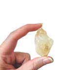 Citrino Potenciado en Bruto