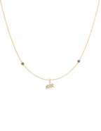 Collar Zodiaco Acuario