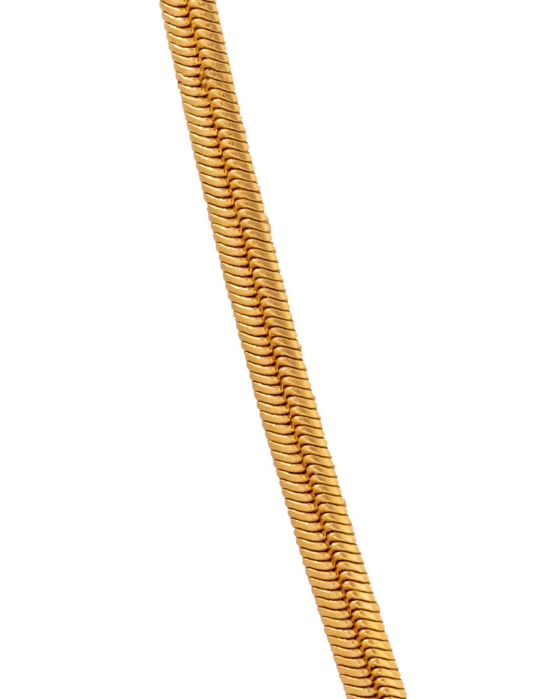 Collar Snake Small