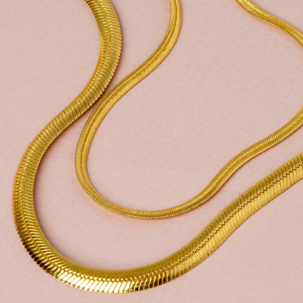 Collar Snake Big
