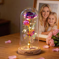 Nombre personalizado Galaxy Rose Pantalla de cristal con flor preservada y la luz LED Día de la Madre Regalo de cumpleaños para la mujer