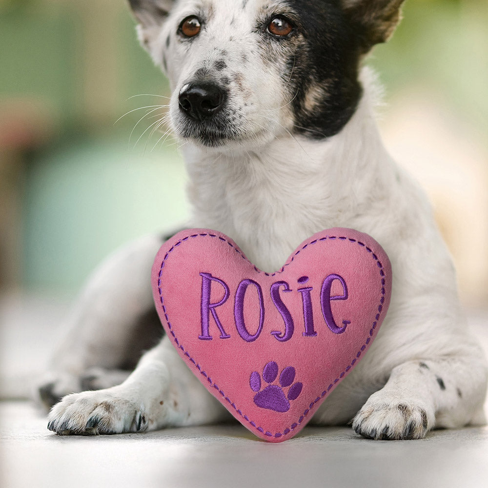 Juguete de peluche personalizado en forma de corazón con nombre bordado y chirriador Accesorios interactivos Regalo de cumpleaños para los amantes de los perros