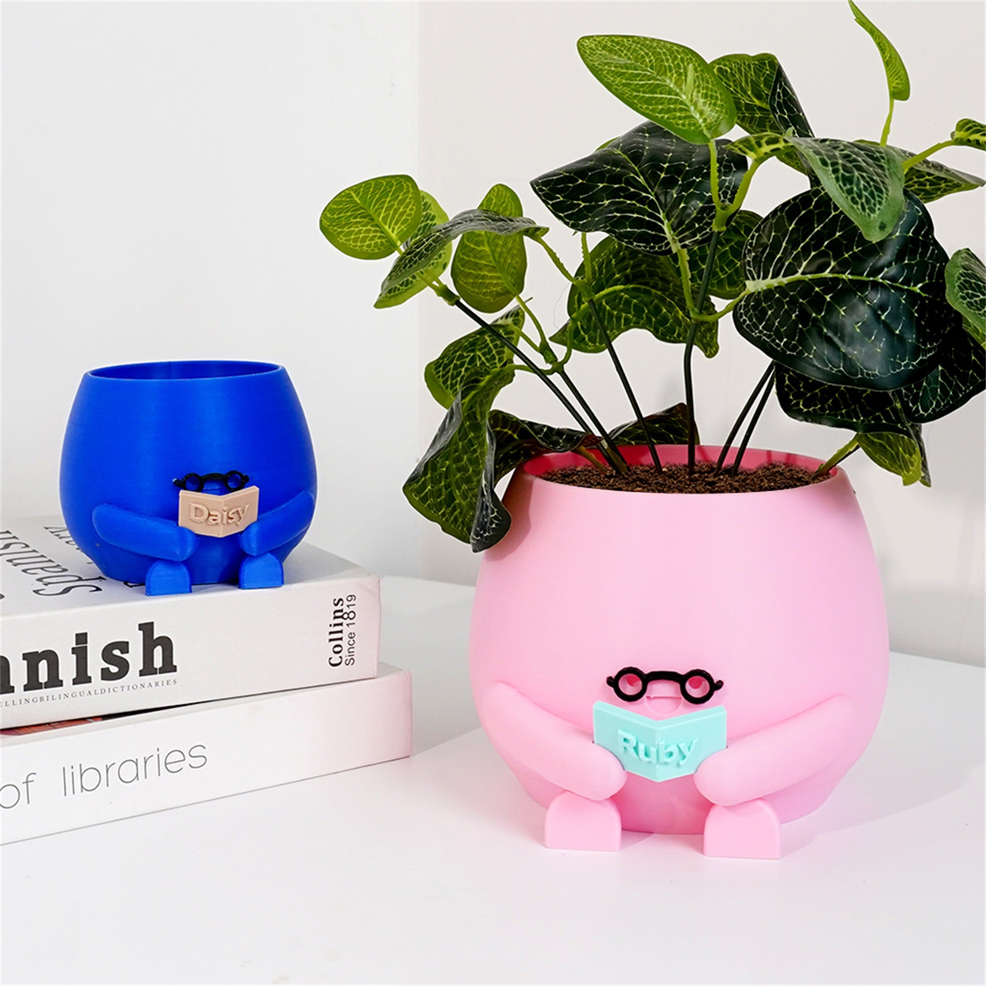 Maceta personalizada en 3D con nombre para lectura de libros Regalo de cumpleaños para ratón de biblioteca amante de las plantas