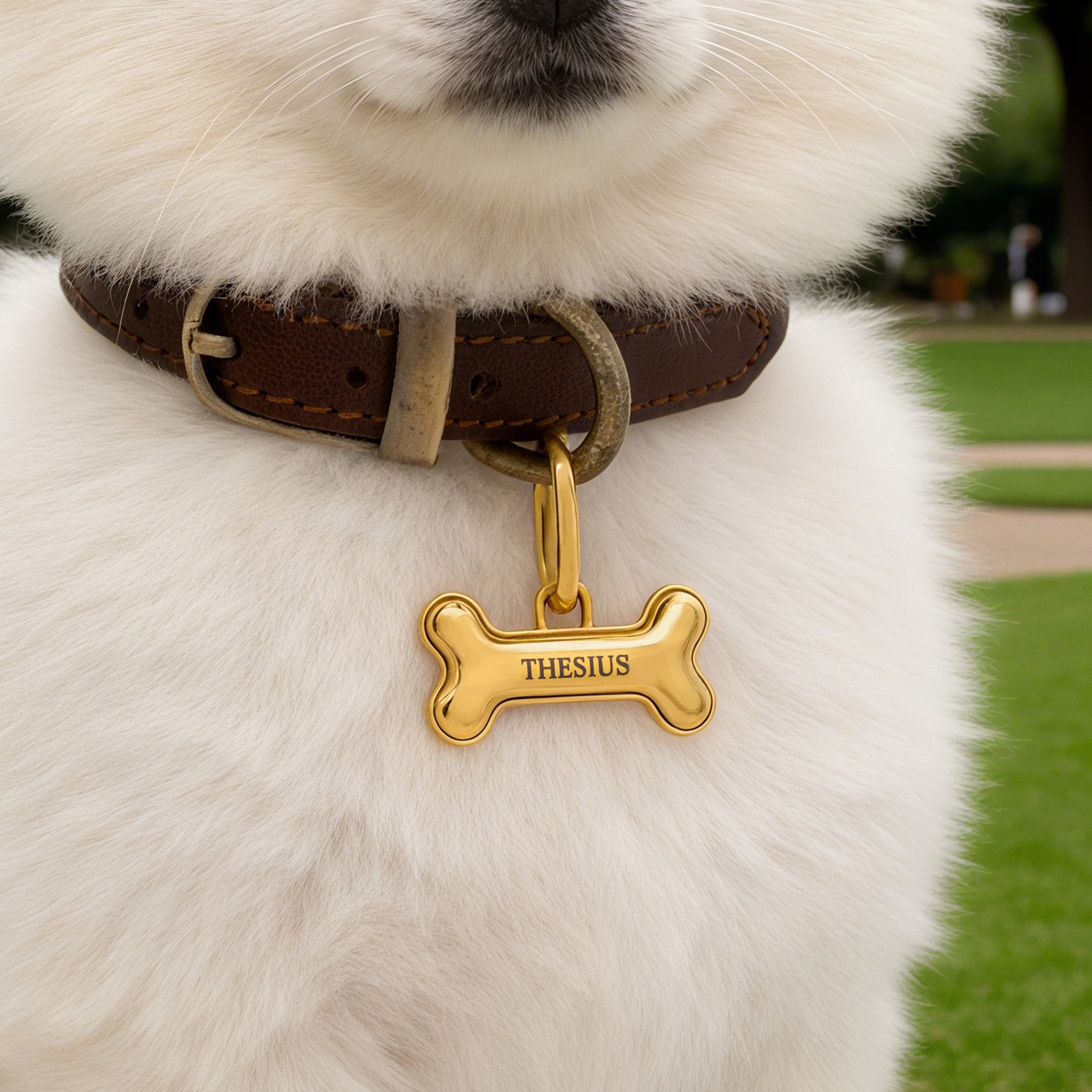 Drunmstick de hueso personalizado con forma de huella de pata Etiqueta para nombre de mascota antipérdida con número y dirección grabados Regalo de cumpleaños de adopción de uso diario para dueños de