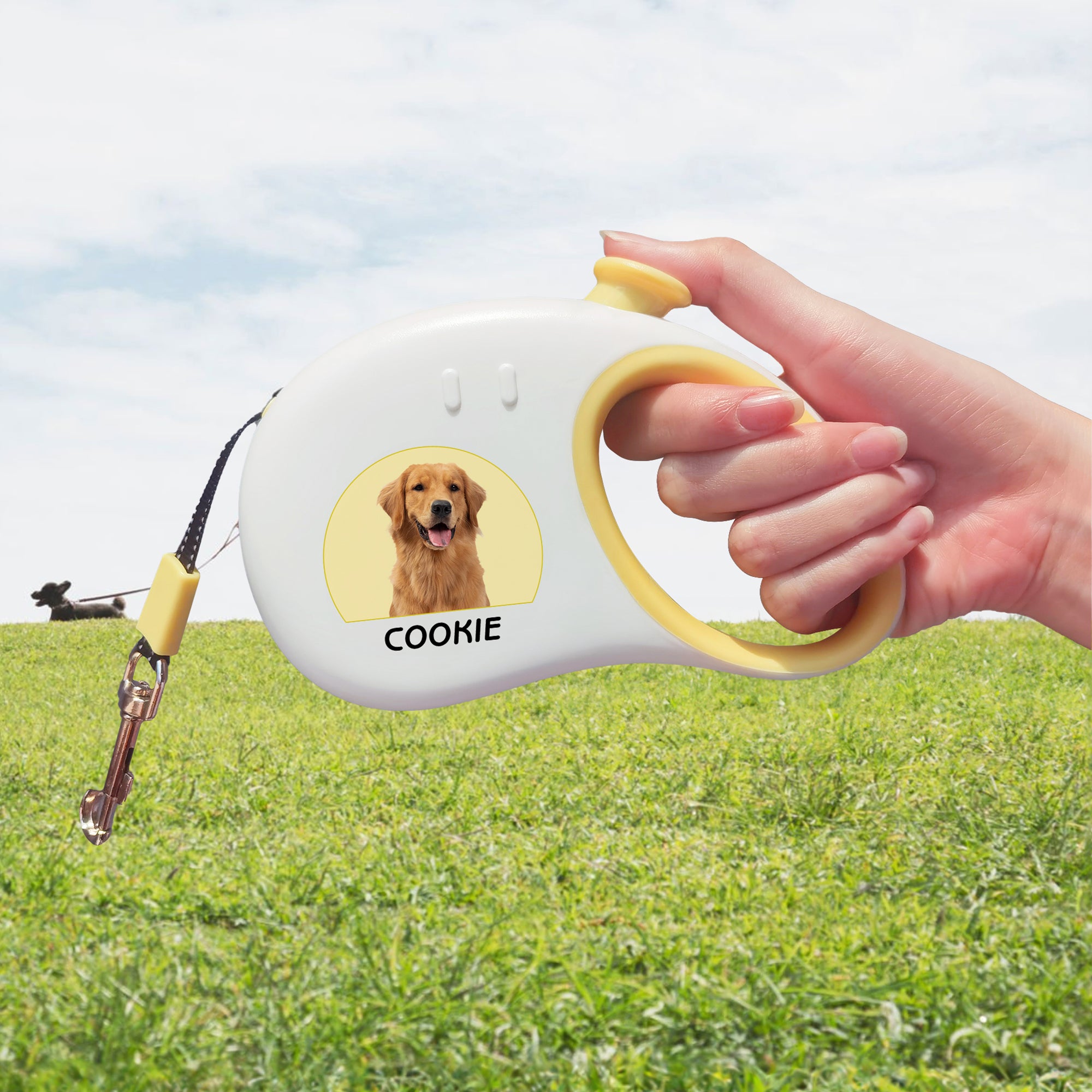 Personalizada Multicolor Retráctil Efecto Reflectante Correa para Mascotas con Foto y Nombre Uso Diario Regalo de Cumpleaños para el Dueño de una Mascota
