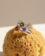 ANILLO PERSEIDAS
