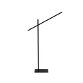 Hashi