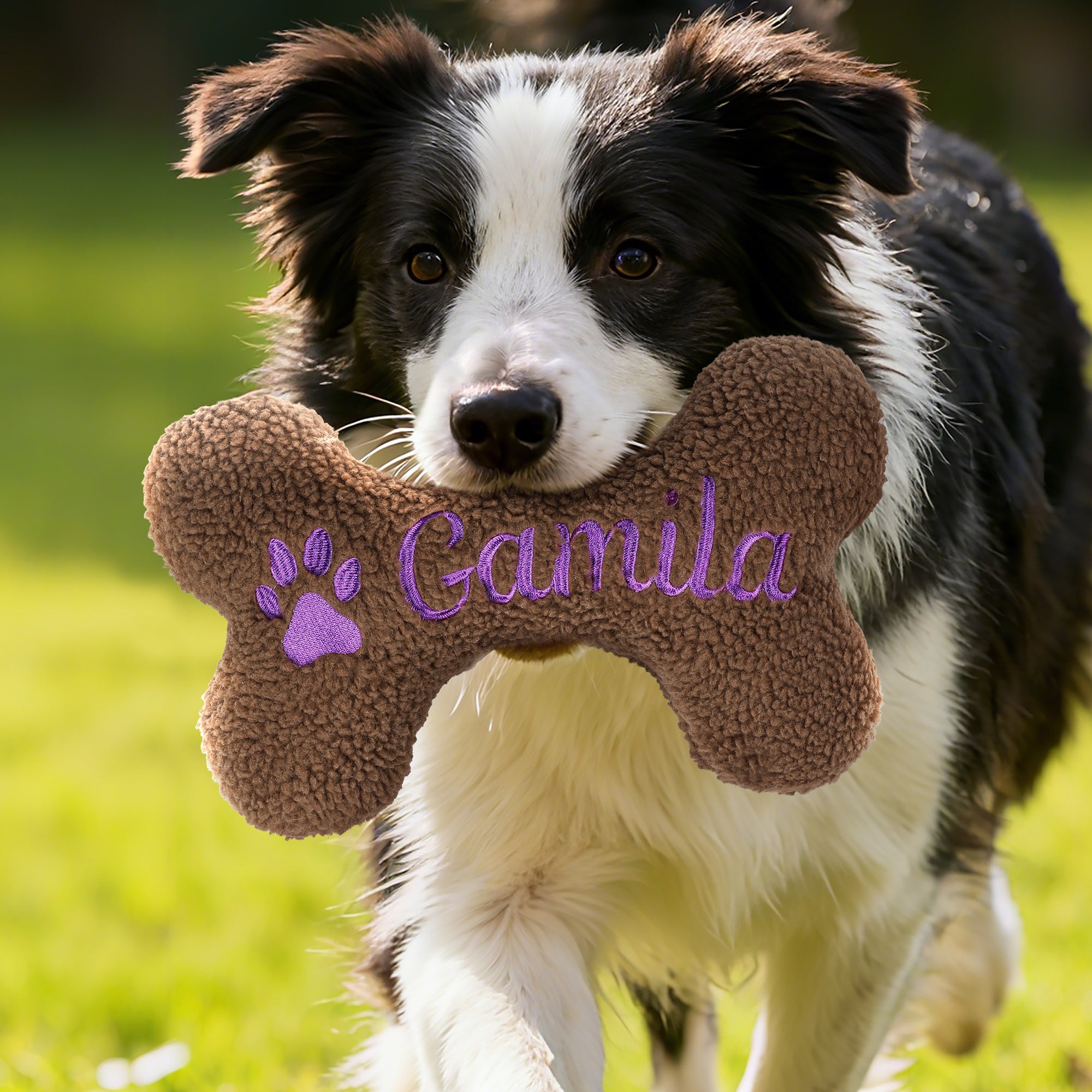 Hueso de juguete personalizado con nombre bordado Regalo de cumpleaños para el dueño del perro Entrenador de mascotas