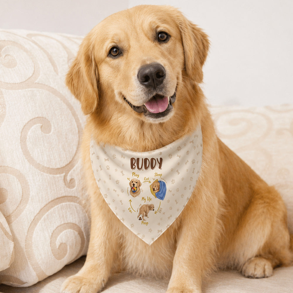 Bandana personalizada Un día en la vida de una mascota Funny Photo Illustration Multicolor Soft Pet Bandana with Name Daily Use Birthday Pet Party Gift for Pet