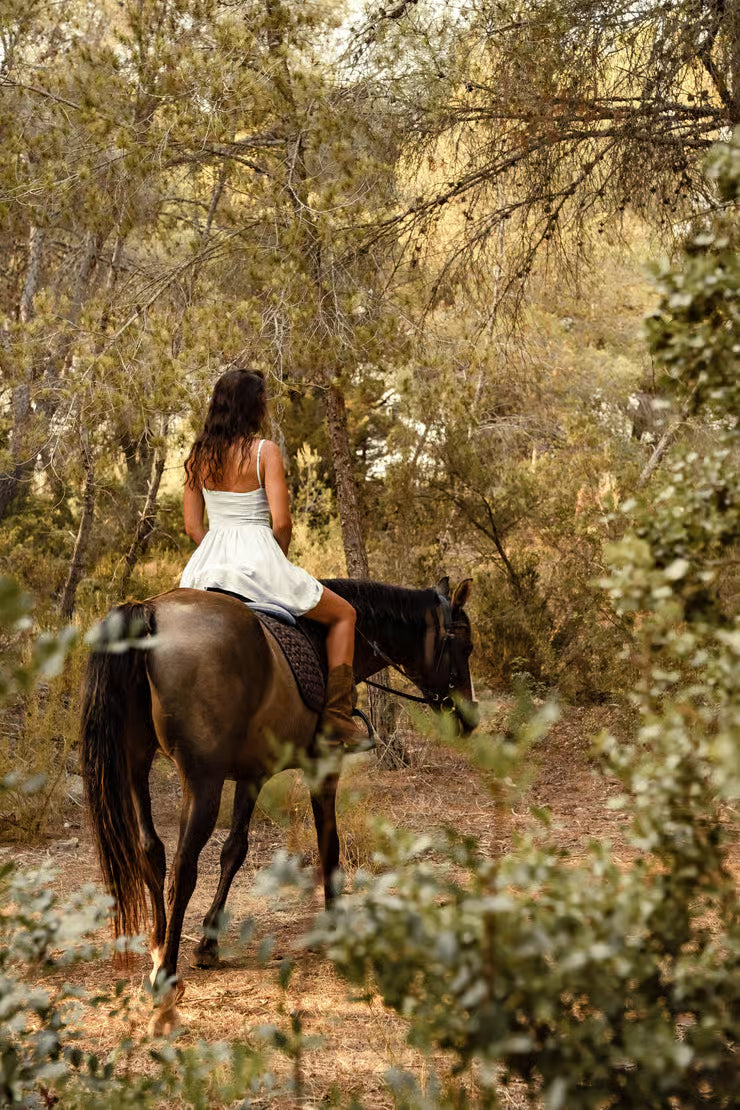 Exclusive Horseback Ride with Nature Surrounded Picnic