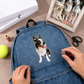 Personalizado bordado perro gato mascota foto Iron-On etiqueta del partido del animal doméstico regalo de cumpleaños para los amantes de las mascotas propietario de la costura entusiastas