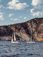 Three Islands in One Day: Es Vedrà, Formentera and Espalmador Tours with Full-Day Food and Drinks, Paella Cooking, Sunset Toasts and Water Toys