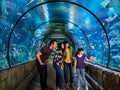Shark Reef Aquarium