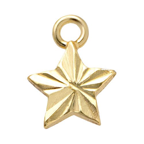Gold Star Premium Charm