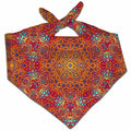 Heatwave Bandana