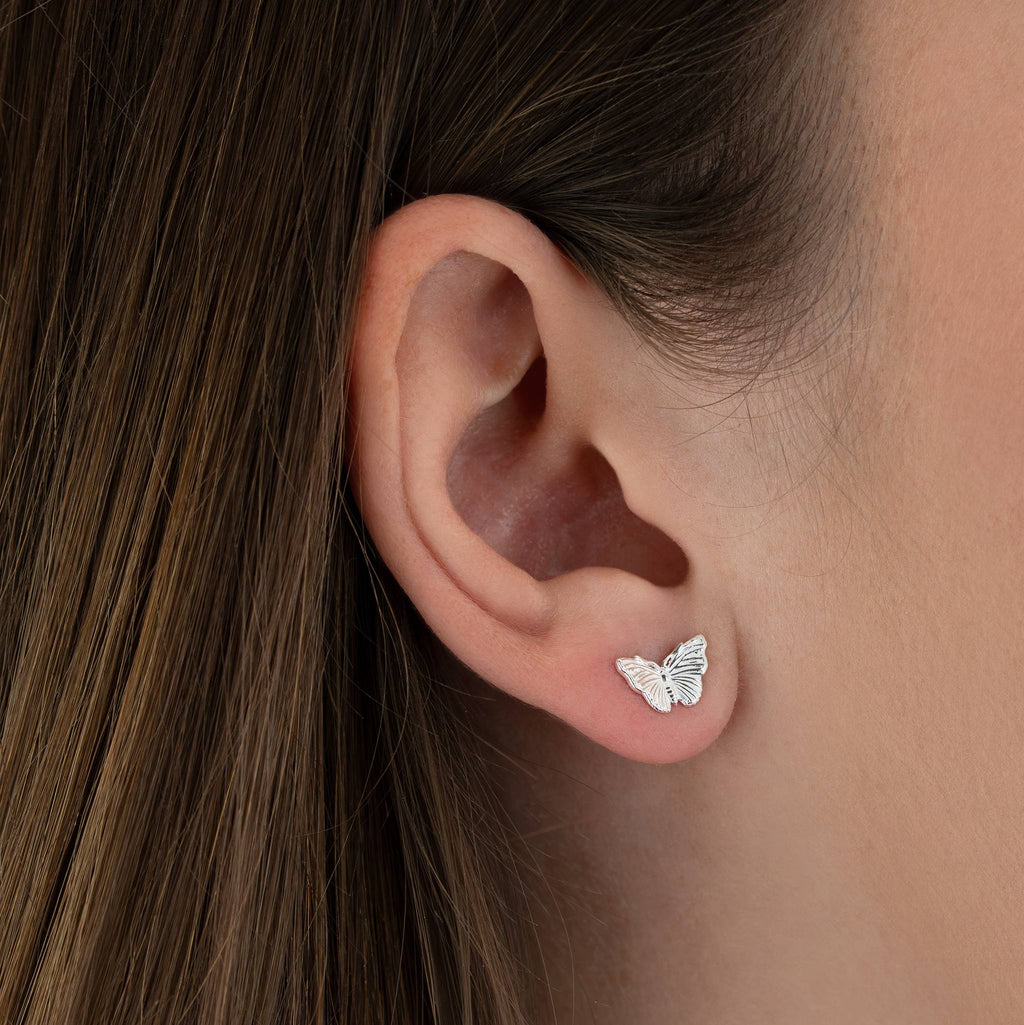 Admiral Butterfly Stud Earrings - Silver