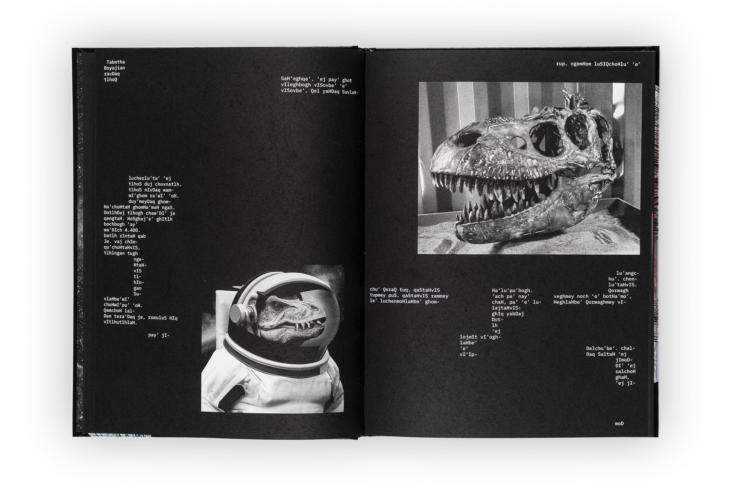 HeghDI' vem ghaH, tu'lu' Dinosaur