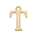 T Gold Letter Charm