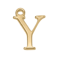Y Gold Letter Charm