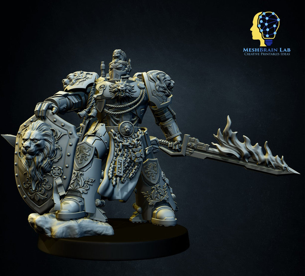Master of the order 2, MeshBrain Lab