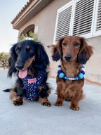 Collare personalizzato per cani con pon pon - Blu