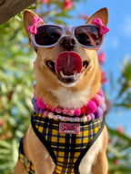 Lavender & Pinks - Personalised Pom Pom Dog Collar - As seen in Vogue