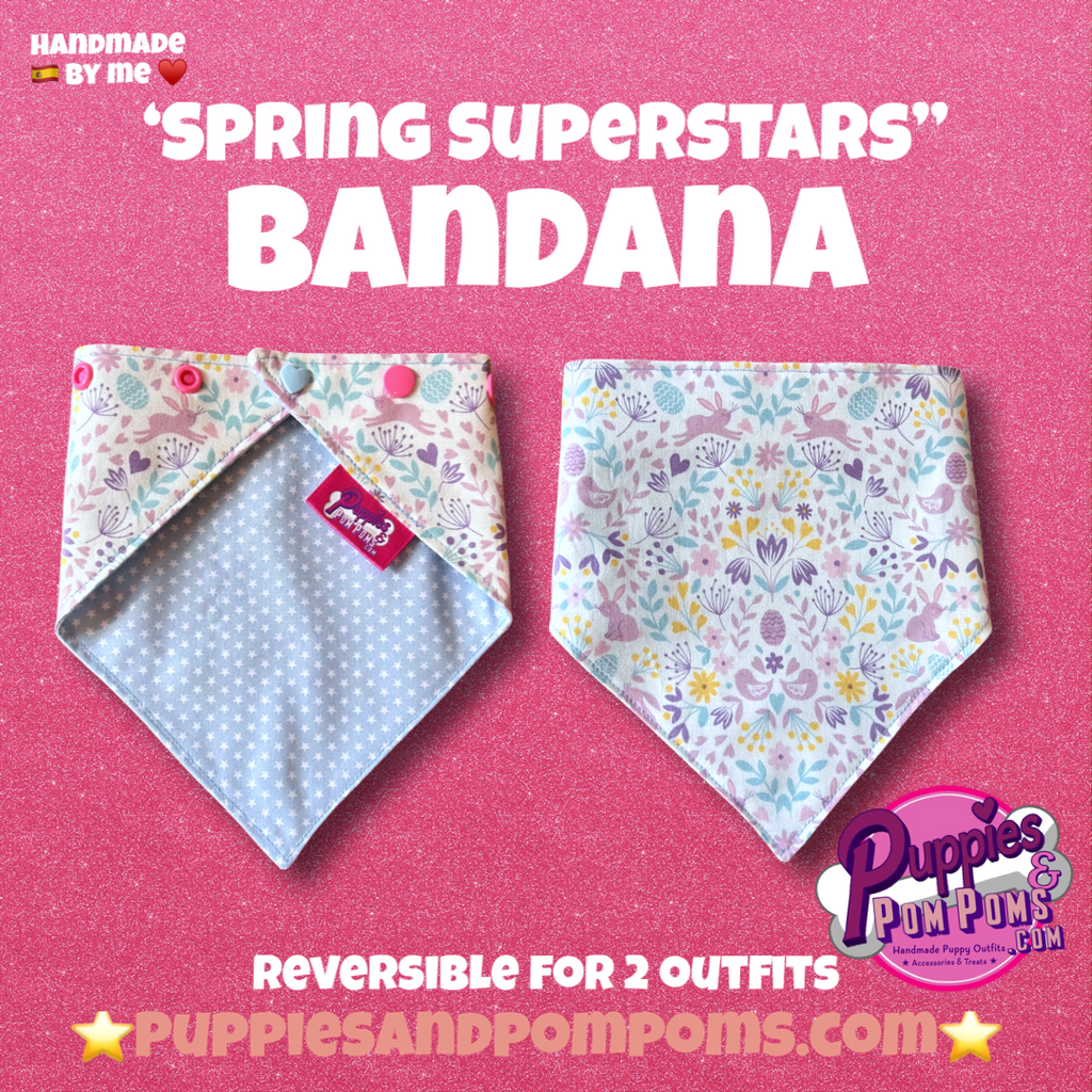 Spring Superstars Dog Bandana - Snap On