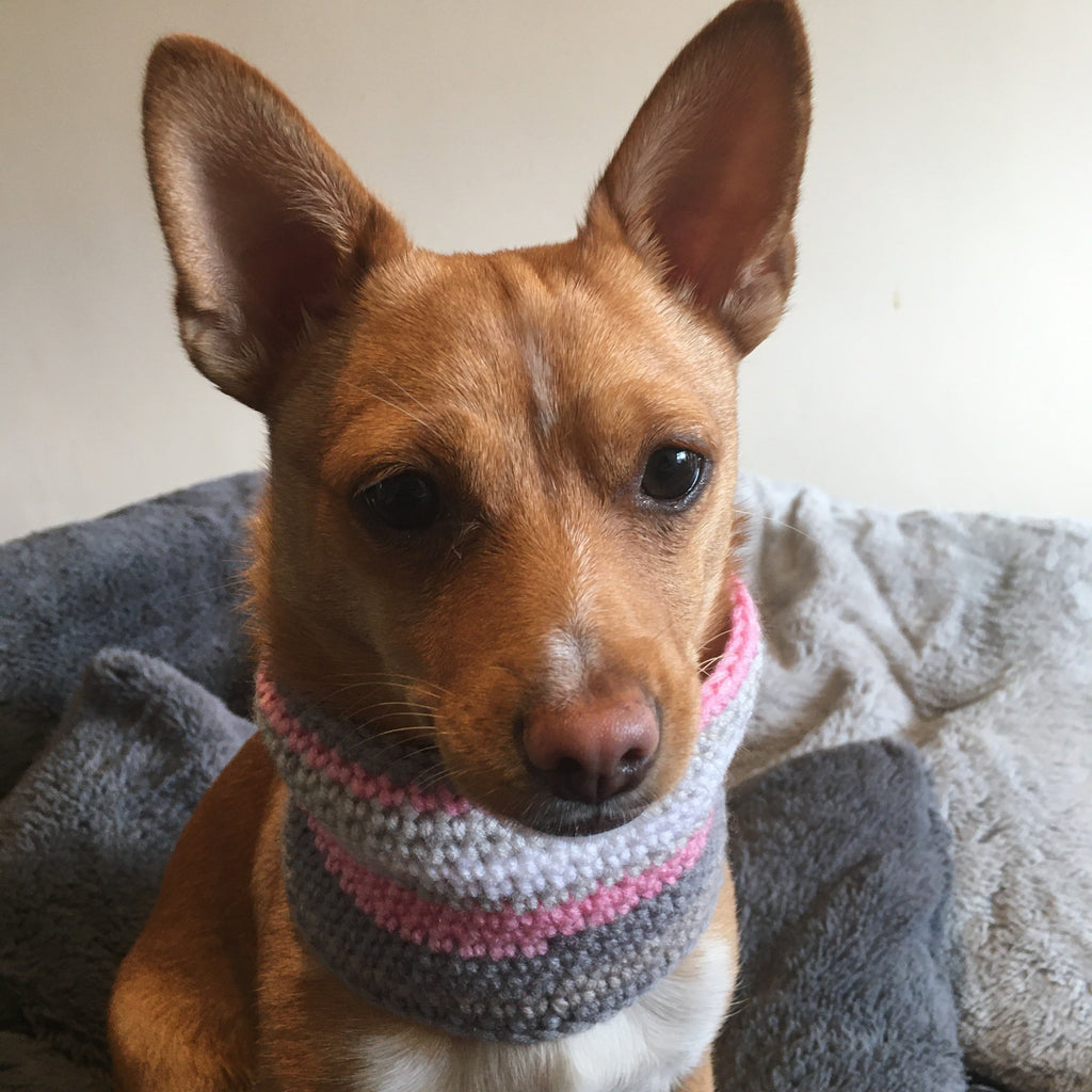 Rainbow Chic Pink/Grey Crochet Dog Snood / Buff