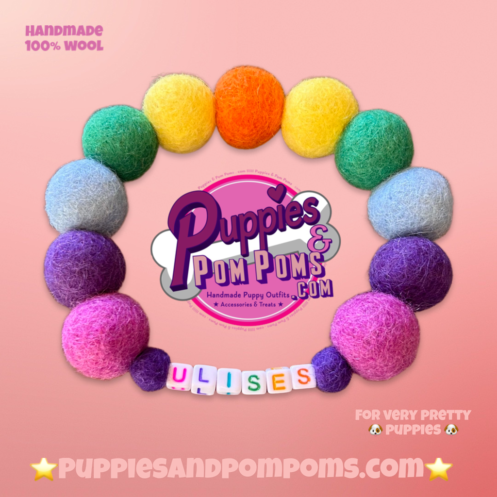 Collar para perro con pompones personalizados - Bolas de 2 cm arcoíris brillantes