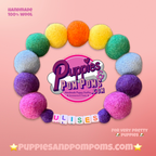 Collar para perro con pompones personalizados - Bolas de 2 cm arcoíris brillantes